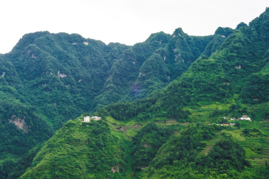 青山 山岭