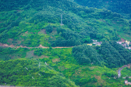 山村 山地