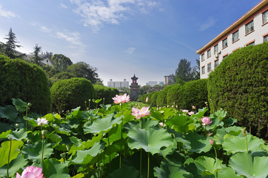 四川大学校园 华西坝钟楼