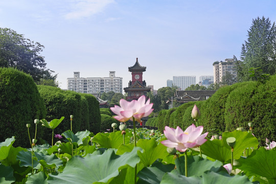 四川大学华西坝钟楼