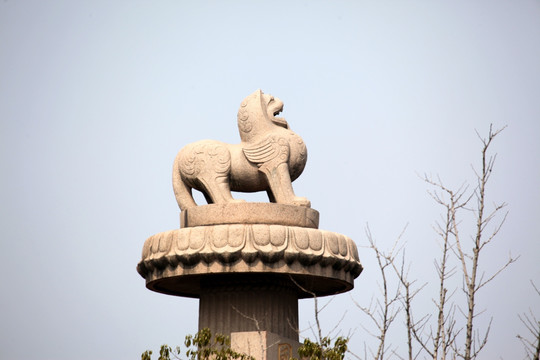 雕塑 狮子 石狮子