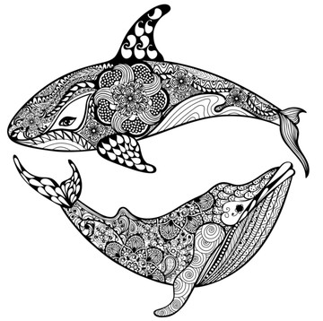 线条金鱼海豚