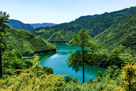 大山谷湖泊 山谷池塘