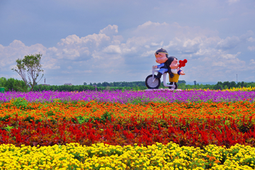 薰衣草花园