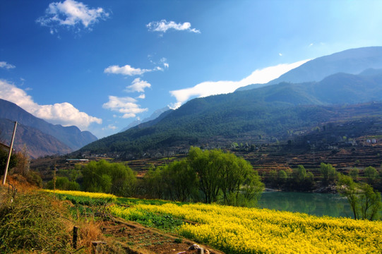 云南虎跳峡景区金沙江春色