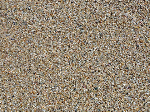 海沙海滩粗沙