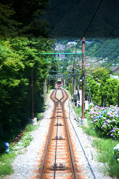 箱根上山小火车