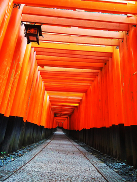 千本鸟居