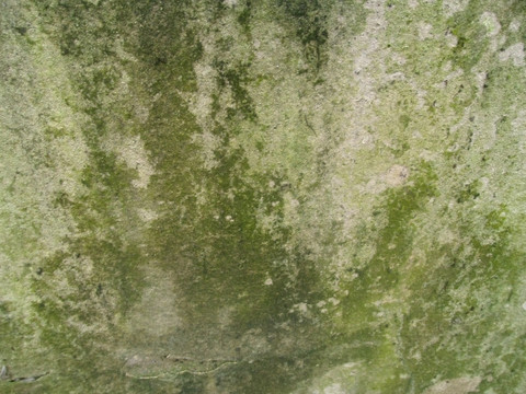 苔藓水泥墙面 背景素材 底纹
