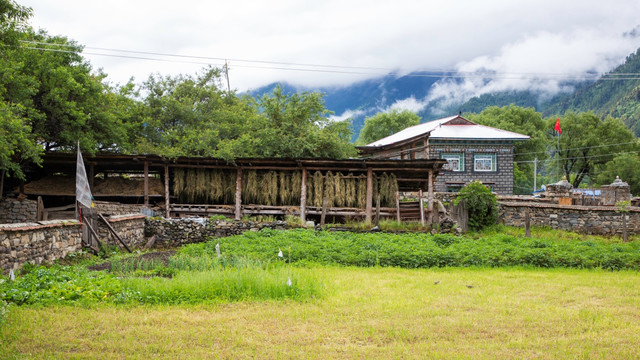 藏家院落