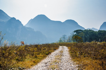 乡村小路