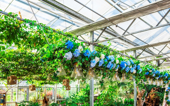 花店 植物店