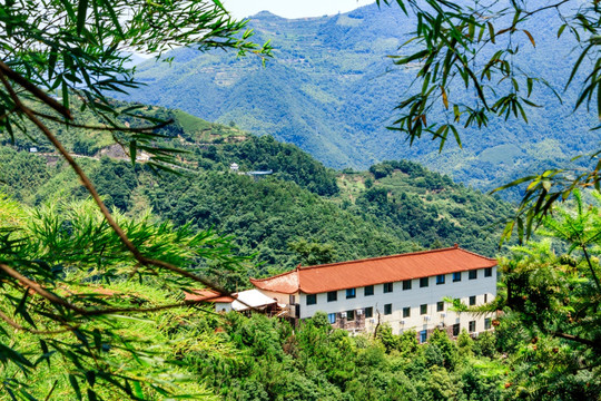 客栈 四明山旅游