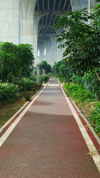 高架桥下的绿道