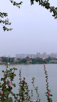聊城东昌湖