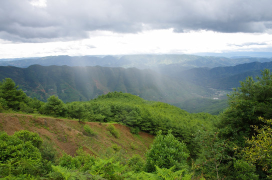 山坡