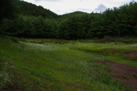 长海子草坪