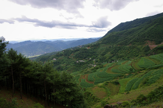 老营盘山腰