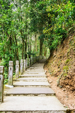 大龙湫风景区山路