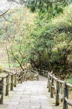 大龙湫风景区栈道