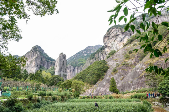 大龙湫风景区山谷