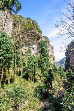 净名谷风景区山谷