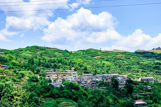 村庄 绿色山村 农村