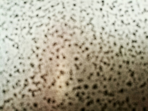 模糊黑白圆点背景底纹纹理