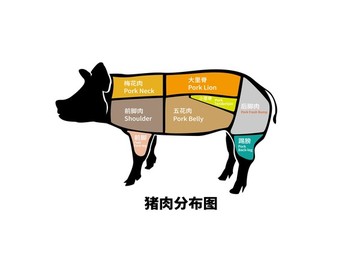 猪肉分布图 猪分布图 猪平面