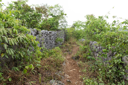 山路