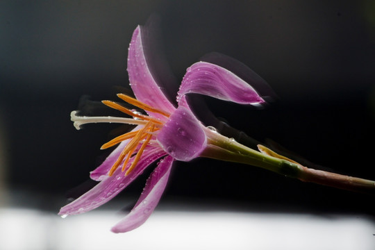 花非花