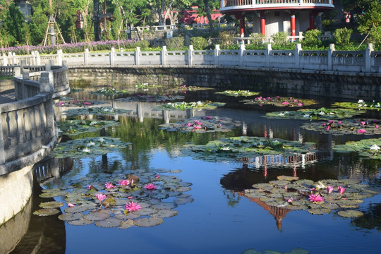 厦门南普陀寺