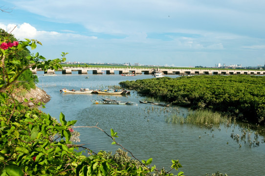 洛阳桥风景