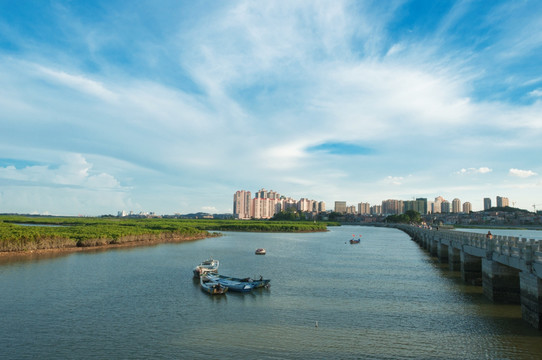 洛阳桥湿地风光