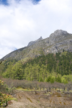 自然风光 原野峻岭 山谷田野