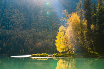 新疆喀纳斯河畔秋景