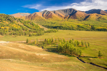 新疆喀纳斯草原秋景