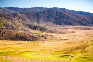 新疆喀纳斯草原秋景