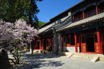 北京西山大悲寺