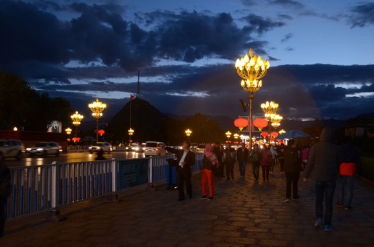 布达拉宫夜景