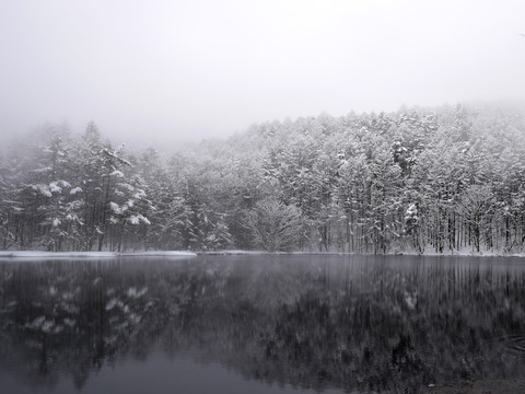 山水雪景 湖雪景倒影 冬天树挂