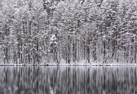 山水雪景 湖雪景倒影 冬天树挂