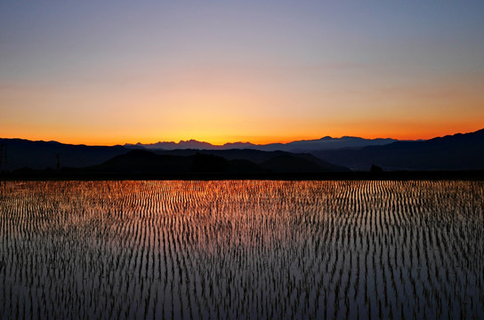 黄昏田野