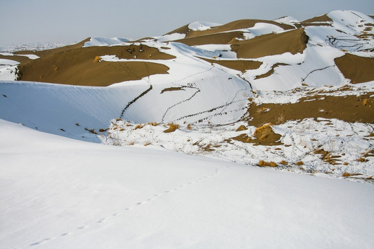 沙漠雪景