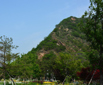 山峰 鲜花 绿树 风景