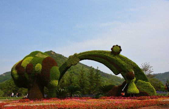 花草造型 园林景观 鲜花