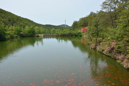 横山寺风光