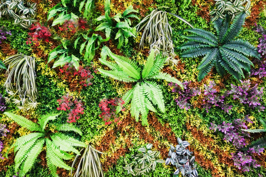 仿真绿植墙