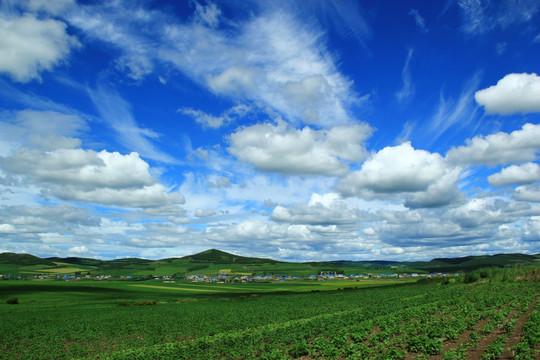 碧绿的田野