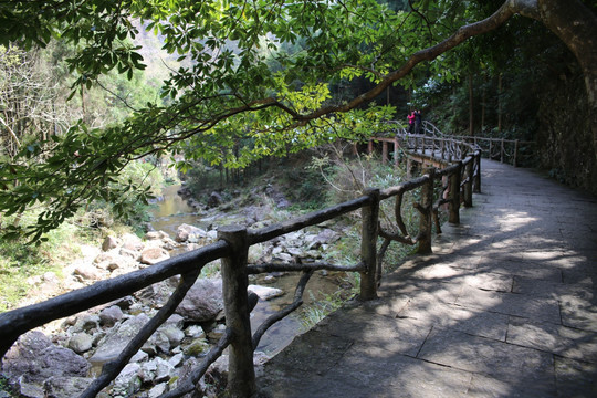 雁荡山大龙湫景区山道